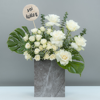 امونه 2
