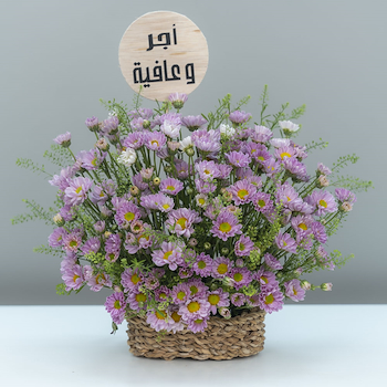 امونه 7