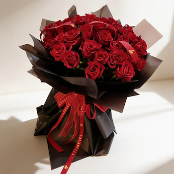 Red Elegance