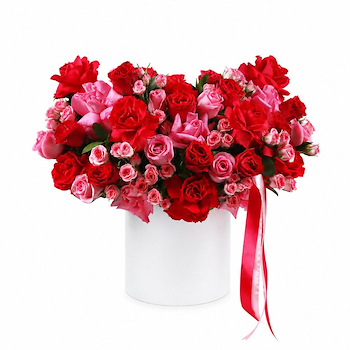 Pink And Fuchsia Box