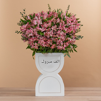 بلومينق ستاند 12