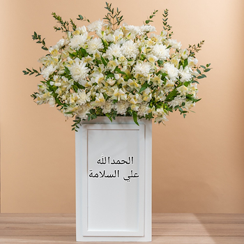 بلومينق ستاند 33