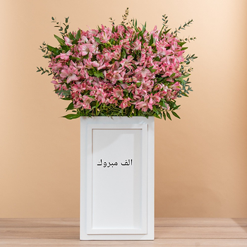 بلومينق ستاند 35