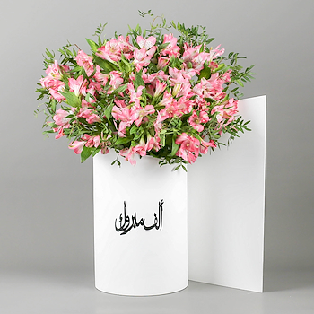ستاند الملكة 11