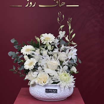 فازة 14