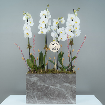 Marble 19