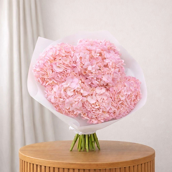 Signature Pink