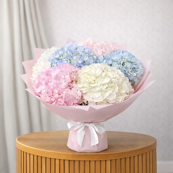 Cotton Candy Bloom