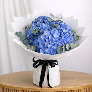 Sapphire Bloom