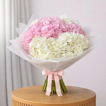 Whisper Of Hydrangeas