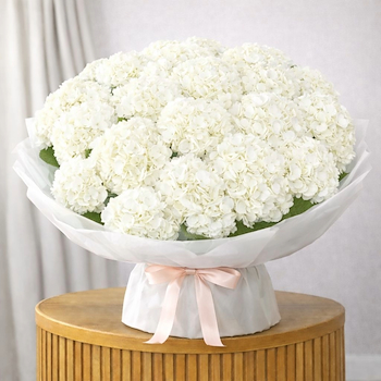 Celestial White