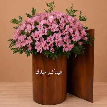 هابي استاند 1