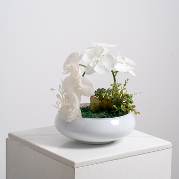 Arti Special White