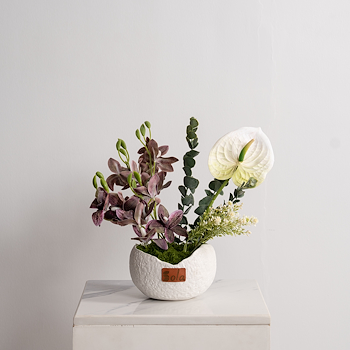 Arti Soft Bloom