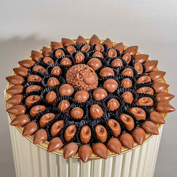 شوكولاتة الحليب المتنوعة