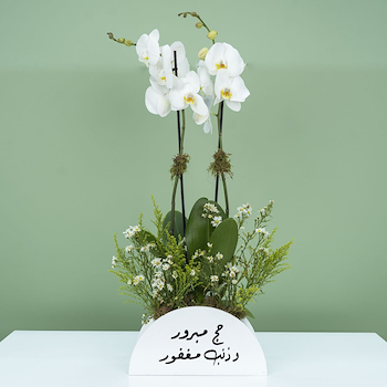 ريكو