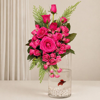 Beautiful Roses