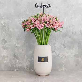 Bellamore Pink
