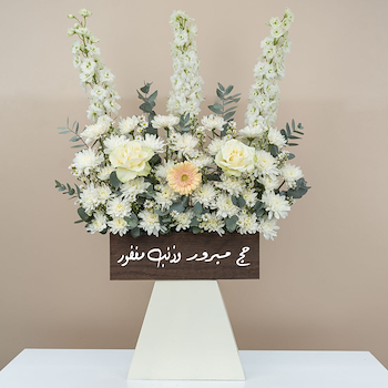 بلومينق ستاند 2