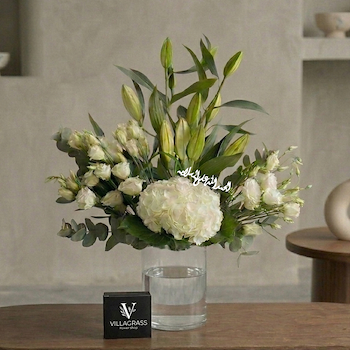 Eustoma Bloom I
