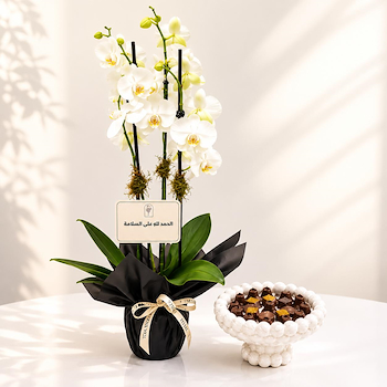 Orchid Day