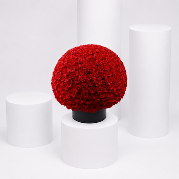 Red Roses (300)