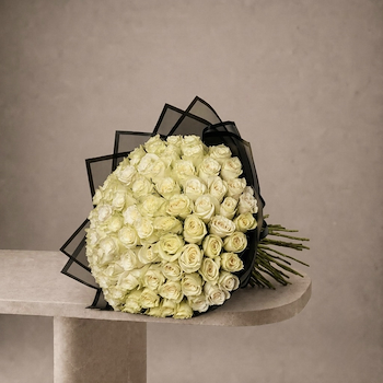 Large White Rose 1