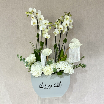 ديفاين