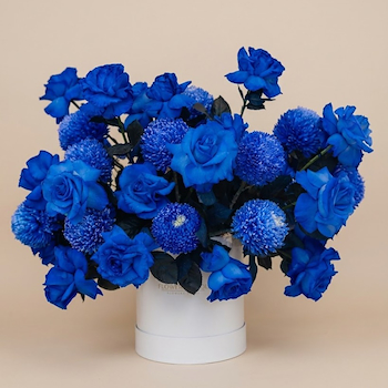 Royal Sapphire Bloom Box