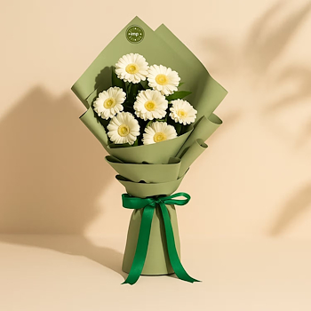 Chic White Gerbera