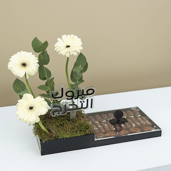 الجيربيرا والشوكولاتة