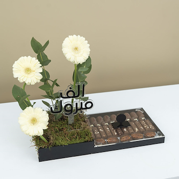 الجيربيرا والشوكولاتة 2