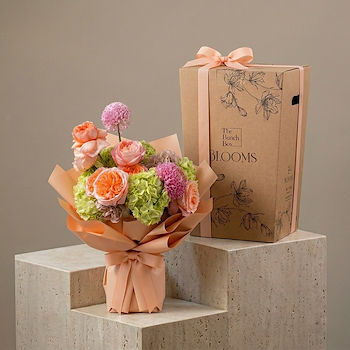 Hydrangea Peach Rose Atelier