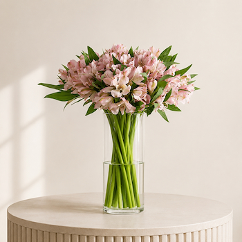 Pink Alstroemerias