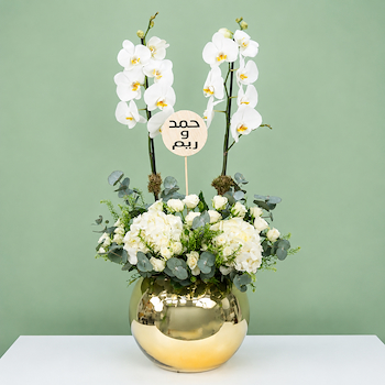 Plant 5285