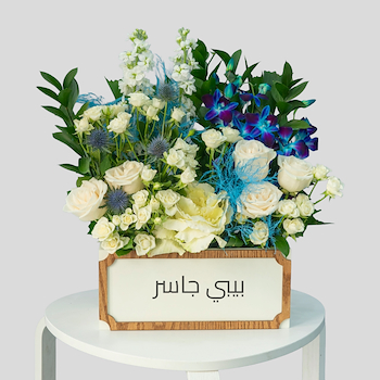Jasser Box