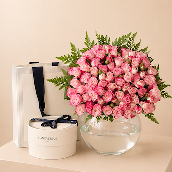 Blush Rose Collection