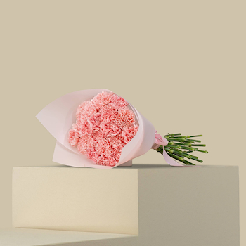 Blossom Carnations