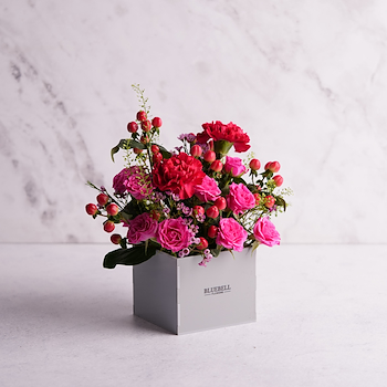 Fuchsia Box