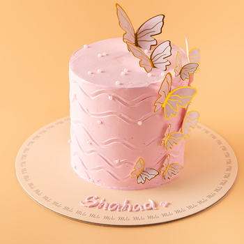 Pretty Pink Butterfly
