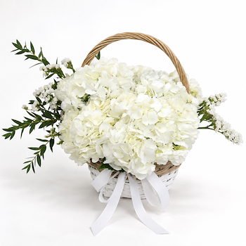 Hydrangea Charm Basket