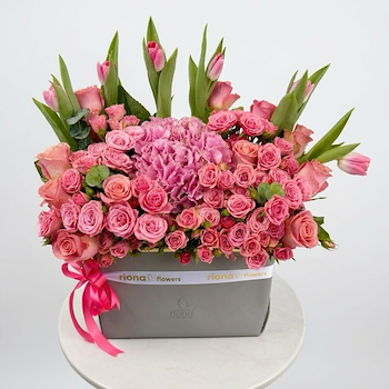 Infinite Pink