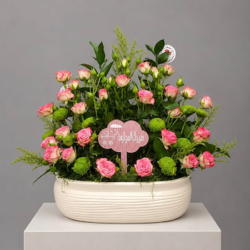 Rose Fragrance