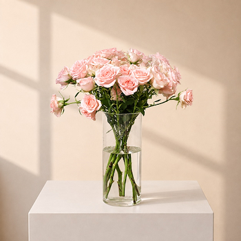 Pink Roses