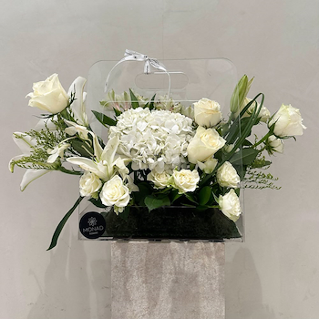 Pearl Bloom