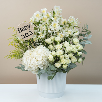 Ivory Bloom