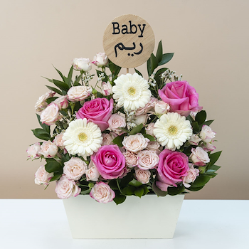 Rosa Baby