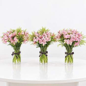 Trio Vases
