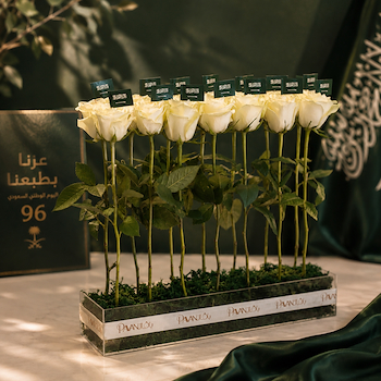 توزيعات اليوم الوطني