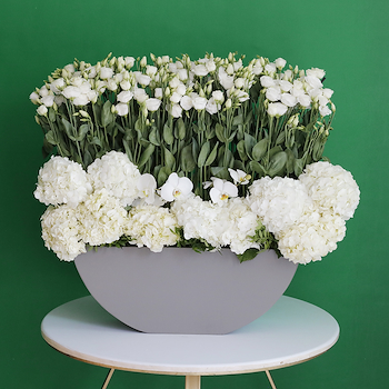 Beauty Eustoma